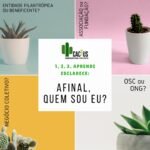 AFINAL, SOU ASSOCIAÇÃO, ENTIDADE, OSCIP, OSC, ONG OU INSTITUIÇÃO?